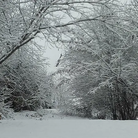 住宿加早餐酒店 Les Lits De Nohaipre 伦德科斯