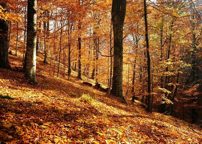 Couette-café Les Lits De Nohaipré Rendeux